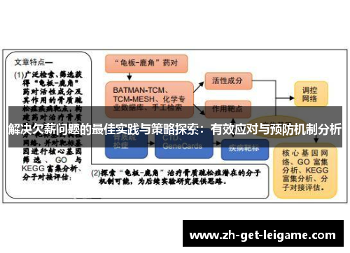 解决欠薪问题的最佳实践与策略探索:有效应对与预防机制分析 解决欠薪问题的最佳实践与策略探索:有效应对与预防机制分析