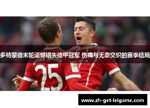 多特蒙德末轮遗憾错失德甲冠军 伤痛与无奈交织的赛季结局 多特蒙德末轮遗憾错失德甲冠军 伤痛与无奈交织的赛季结局